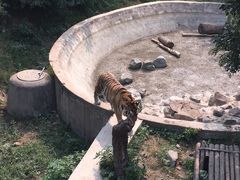 -辛玛王国游乐园