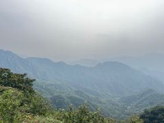 -大岭沟猕猴桃谷风景区