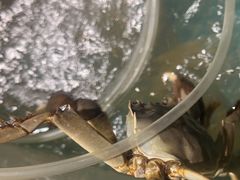 -蛙太牛牛肉海鲜自助火锅(台江万达店)