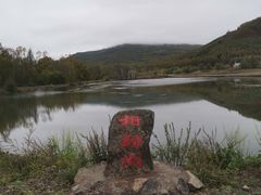 -洮儿河国家湿地公园