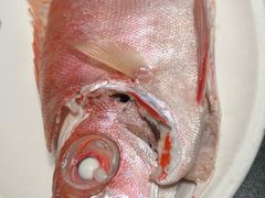 -吴记富苑(朝阳店)