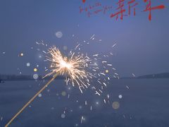 -丁香湖公园
