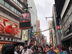 -蟹道乐(道顿堀本店)