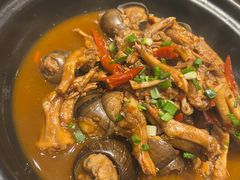 田螺烧鸭掌-谢小厨(沈家店)