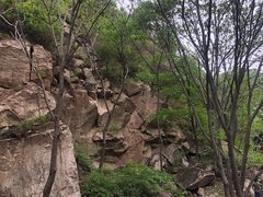 -大岭沟猕猴桃谷风景区