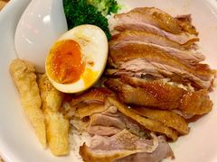 金奖卤鹅肉饭-陈鹏鹏潮汕菜(宝安机场T3航站楼店)