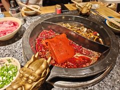 -蜀大侠火锅(建设路第五大道店)