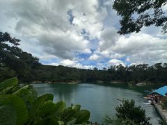 -广州市流溪河国家森林公园