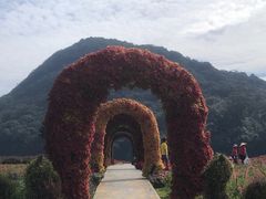 -广州市石门国家森林公园