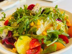 火龙果蔬菜沙拉-申粤轩·手工点心·金牌烧味·经典粤菜(丁香花园店)