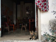 -崇仁古镇