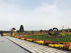 -廊坊文化艺术中心