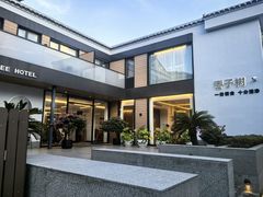 -枣子树·素食餐厅(普陀山店)