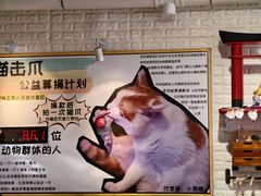 -平行世界·猫咖(首经贸店)