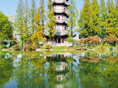 -桃花岛公园