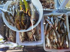 -全乐鱼馆·淳牌有机鱼直营店