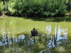 -济南野生动物世界