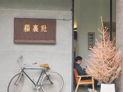 -猫里有甜
