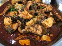 -一撮毛美食城(全力一路店)