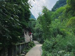 -龙窝子