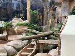 -杭州开元森泊度假乐园