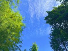 -重庆彩云湖湿地公园