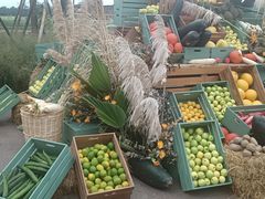 -中国天府农业博览园