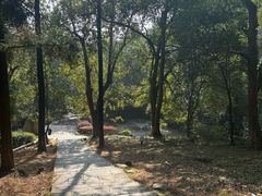 -敬亭山风景名胜区