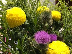 -循礼门鲜花花市(武汉循礼门店)