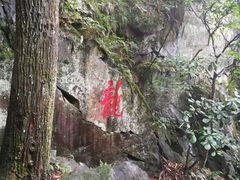 -藏龙百瀑风景区