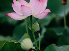 -东钱湖旅游度假区