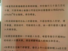 -猫咪博物馆(顶澳仔猫街店)