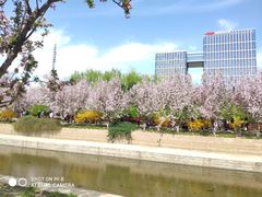 -元大都城垣遗址公园