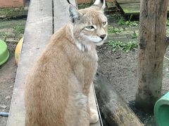 -青藏高原野生动物园