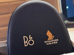 -新加坡航空公司(ION)