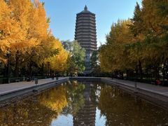 -玲珑塔公园