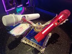 -温莎KTV(珠江路店)