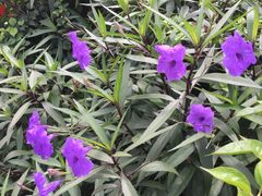 -清水湾3号(东方小周海鲜店)