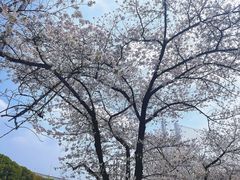-上海南浦大桥长途旅游客运站