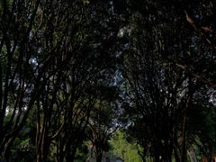 -柳侯公园