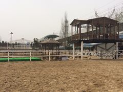 -大连凯洋马术俱乐部有限公司