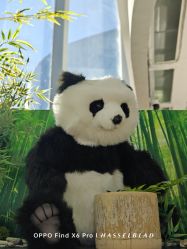 -IMON·HANSA潮玩玩偶毛绒玩具(通州万象汇店)