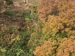 -青岛中山公园-索道售票处