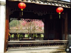 知鱼轩-知鱼轩