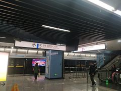 -大龙山(地铁站)