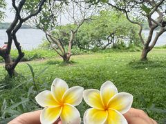 -海珠湖公园