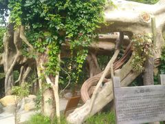 -石老人观光园