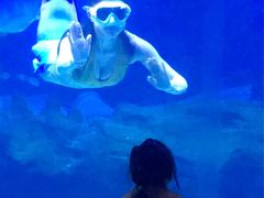 -多彩贵州城极地海洋世界