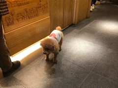 -谷田稻香(昌里路店)
