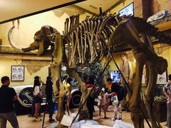 -信不信由你博物馆